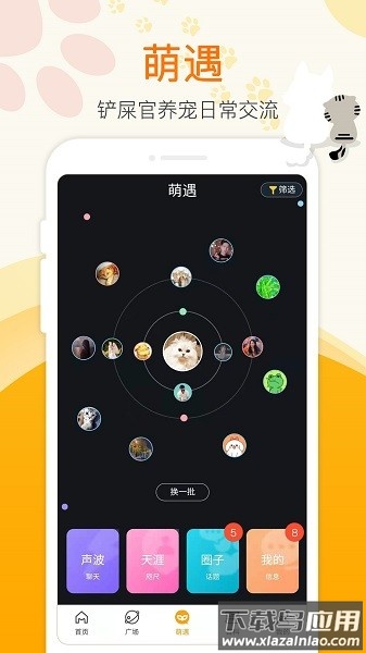 萌宠大陆官方版最新版截图2