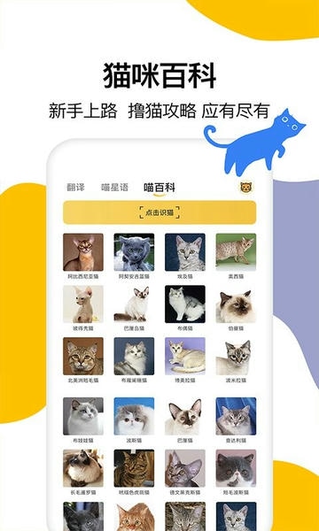 猫语翻译免费版最新版截图1