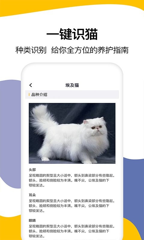 猫语翻译免费版最新版截图2