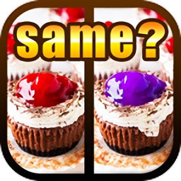 令人疯狂找不同游戏