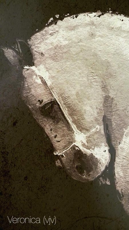 glaze官方app下载