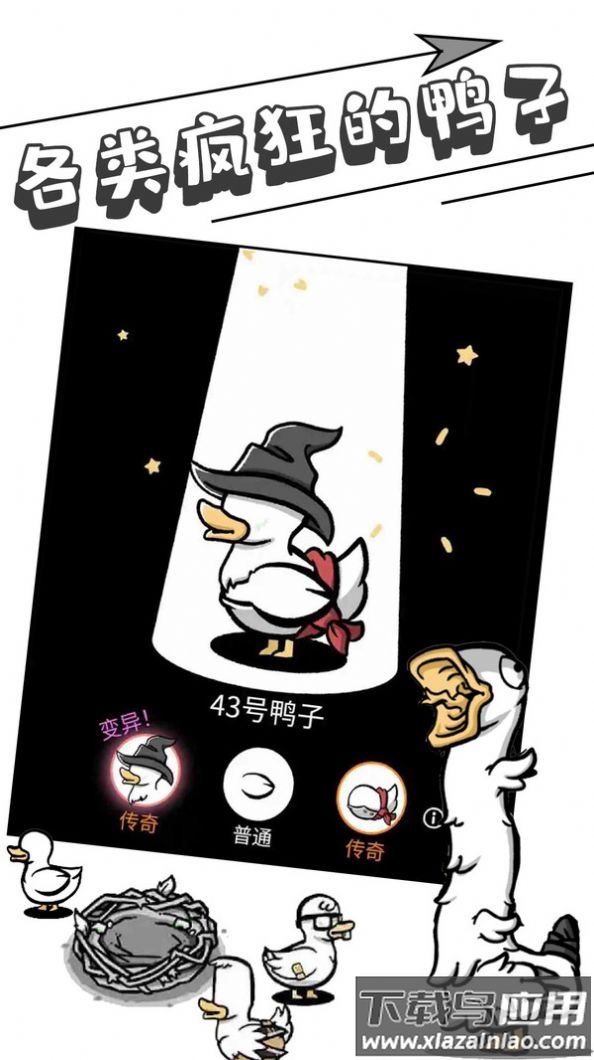 母鸡下蛋最新版截图3