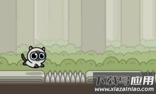 冒险猫手游最新版