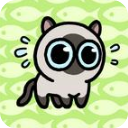 冒险猫手游最新版