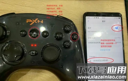 小鸡模拟器破解版最新版