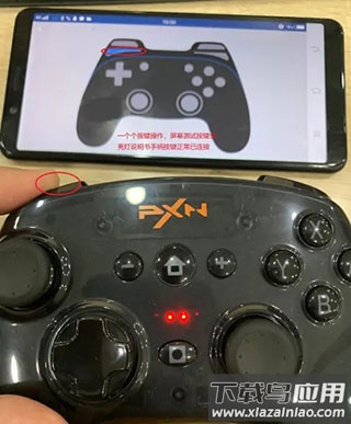 小鸡模拟器破解版最新版