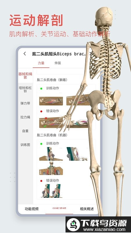 3dbody解剖双语版免费版下载