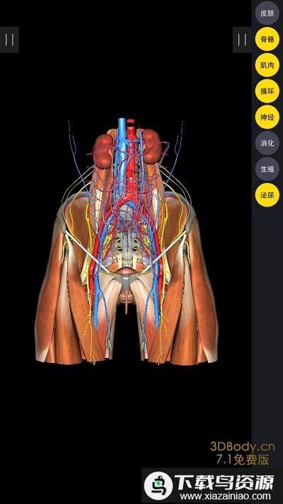 3DBody解剖双语版app最新版截图1