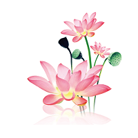 水墨工具箱app安卓版