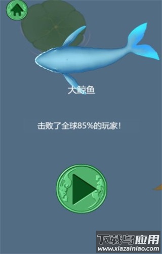 召唤神龙万宁版免广告破解版