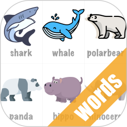 玩转英语单词app