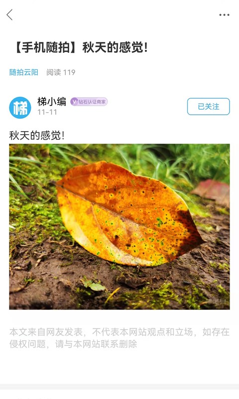 云阳梯城网最新版截图2