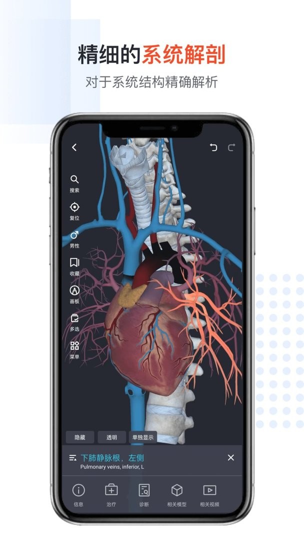 口袋人体解剖官方版
