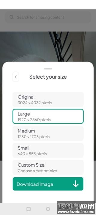 pexels免费视频素材app