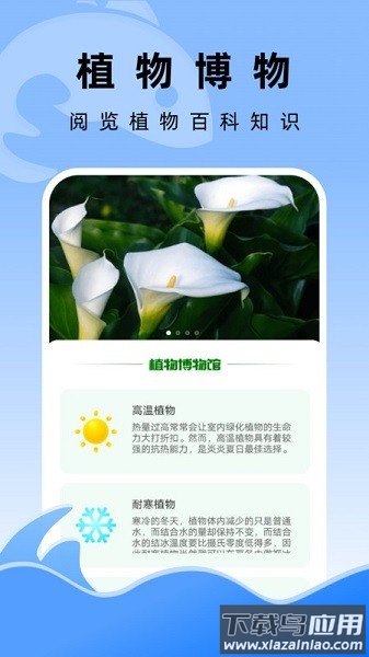 飞鱼文件管家app下载