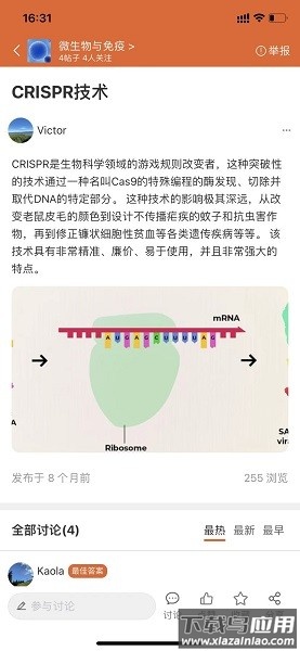 有问必答app下载