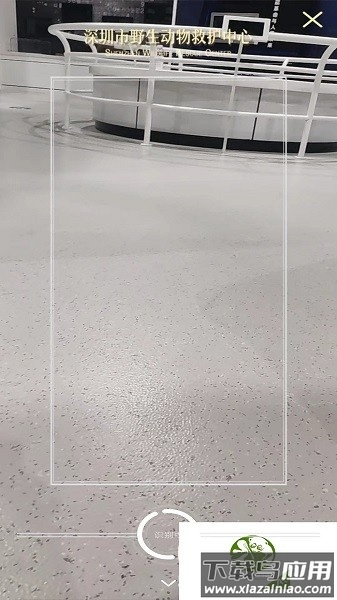 深圳市野生动物救护中心2024最新版截图2