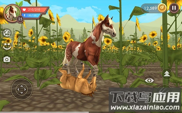 3D动物模拟器最新版下载最新版截图1