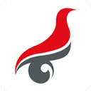 学信网app最新版