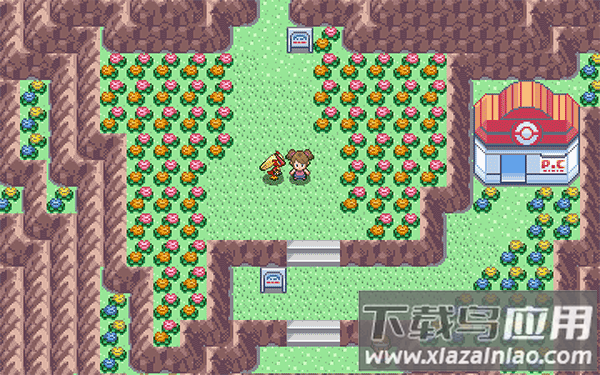 pokemmo手游官方版最新版截图4