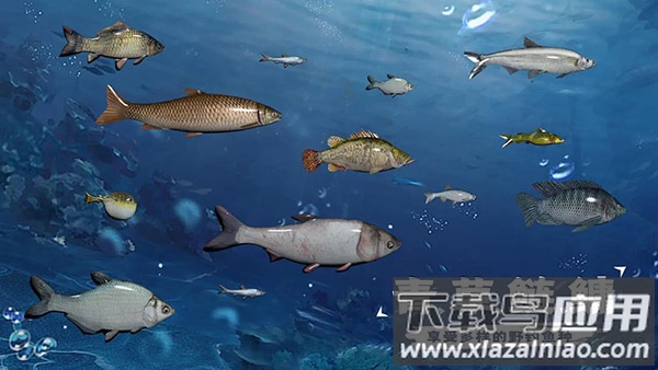 天天钓鱼下载官方版最新版截图2