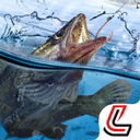 天天钓鱼下载官方版