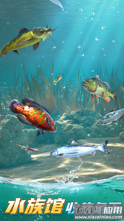 狂野钓鱼2下载官方版