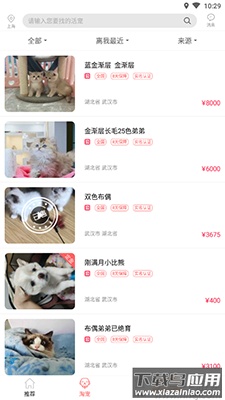 淘宠网app宠物猫狗交易平台最新版截图3