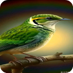 小岭电视app官方版