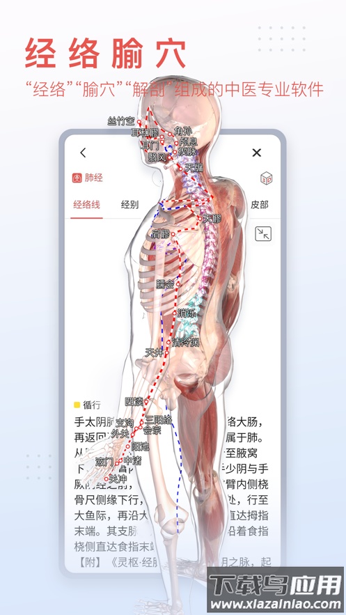 3Dbody解剖app最新版截图2