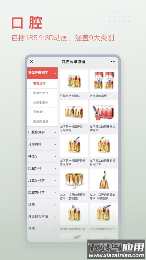 3Dbody解剖app最新版截图3