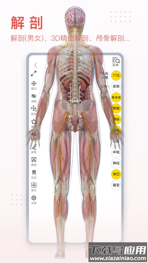 3Dbody解剖app最新版截图4