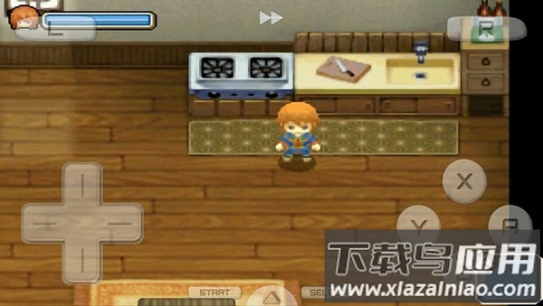 牧场物语双子村下载安装最新版截图3