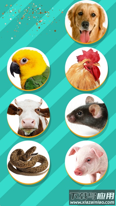 动物翻译器最新版(Pet Translator)截图4