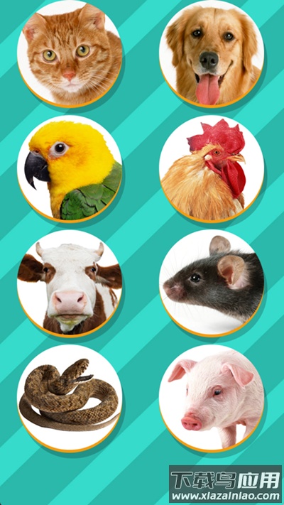 动物翻译器最新版截图3