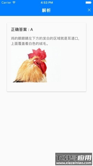 乐趣答题最新版截图2