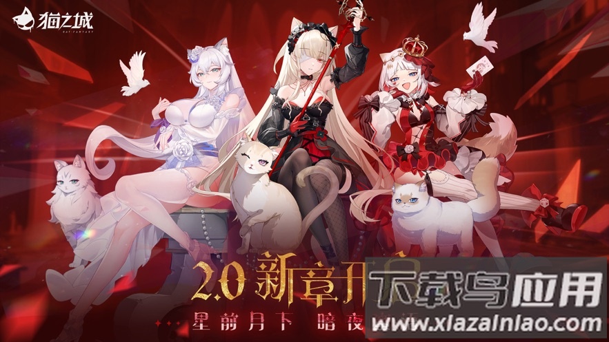 猫之城2.0版本最新版截图5