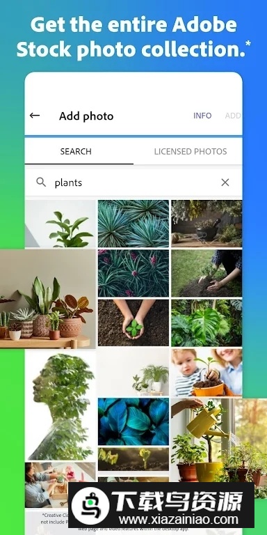 Adobe Express(adobe设计软件手机版app)截图5