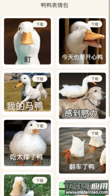 冲鸭流量APP最新版截图3