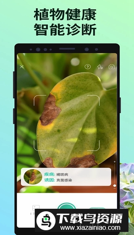 PictureThis破解版解锁高级版最新版截图4