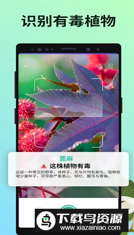 PictureThis破解版解锁高级版最新版截图5