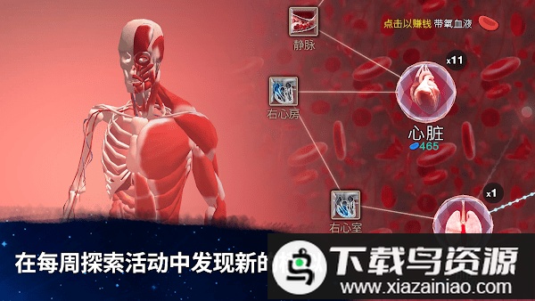 从细胞到奇点进化永无止境最新版(Cells)截图1