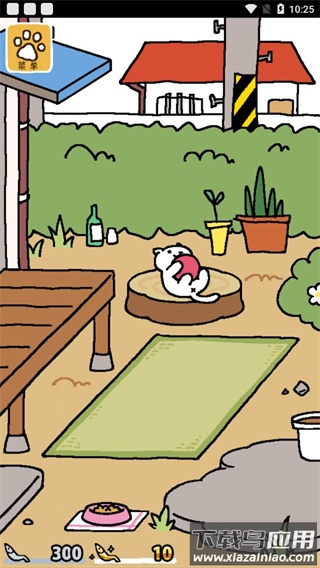 猫咪后院下载中文版最新版截图2