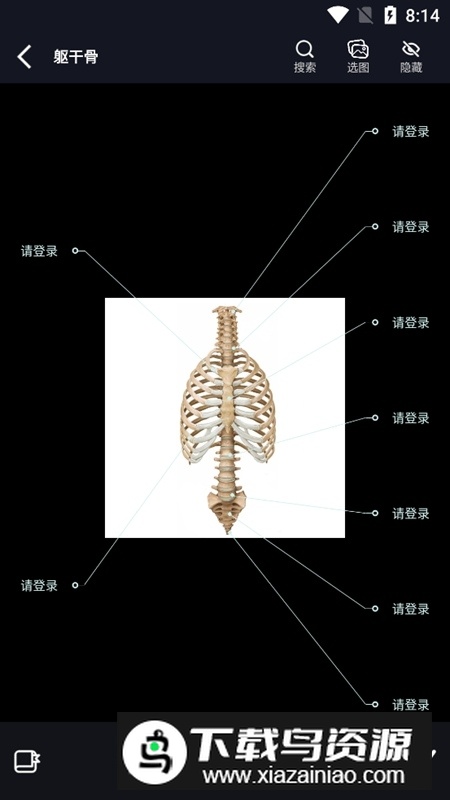 影像解剖图谱电子版高清版截图5