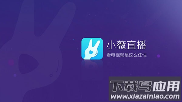 小薇直播纯净版app最新版截图1