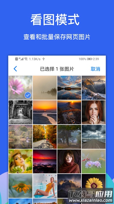 alook浏览器最新版截图5