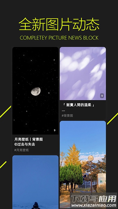 图凌壁纸app官方最新版截图2