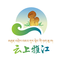 云上雅江app下载