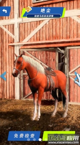 赛马也疯狂下载安装最新版截图3