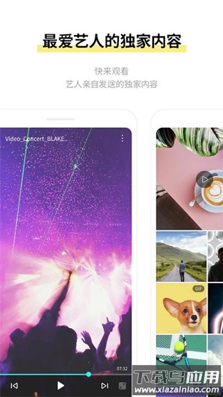 lysn最新版本截图2